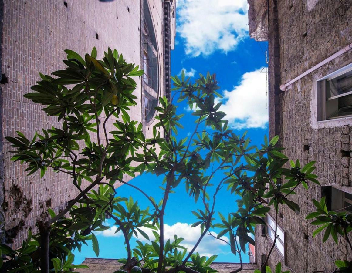 B&B Al Centro Storico ナポリ エクステリア 写真